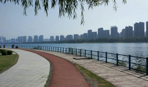 疫情散去，你最想去沈陽的哪個(gè)公園打卡？