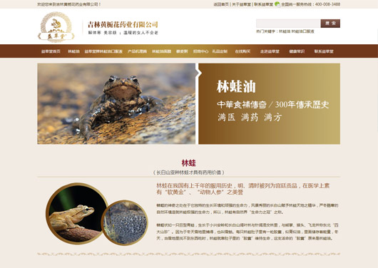 網(wǎng)站設(shè)計(jì) 網(wǎng)站設(shè)計(jì)