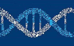 1541400211636382.jpg 0013_副本.jpg