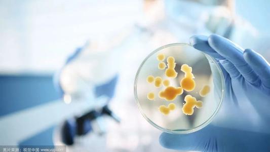 武穴市有哪些做4-硝基苯胺生產(chǎn)廠家有哪些