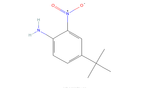 國內(nèi)有哪些做2-硝基苯胺廠家排名
