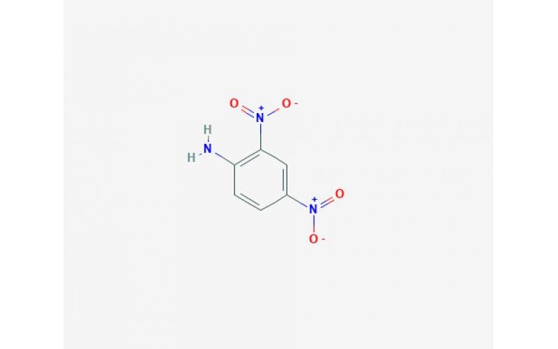 鄂東地區(qū)哪個廠家生產(chǎn)鄰硝基苯胺十大供應(yīng)商