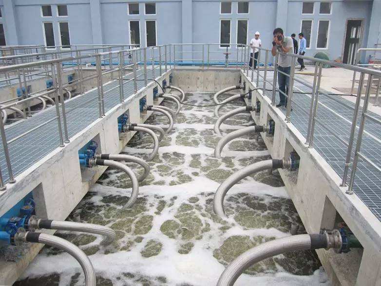 1604294557667334.jpg timg.jpg