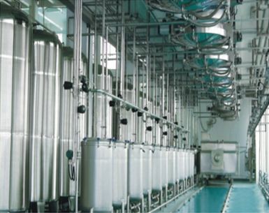 1607322443269515.jpg 400x400_5d647239ccf49.jpg