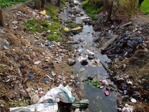 1619745959439300.jpg 1.jpg