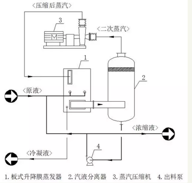 1620974309909191.png 2.png