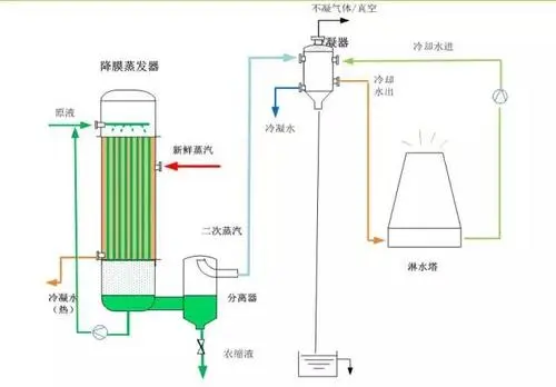 1623981236814813.jpg u=4116650435,1736720346&fm=26&fmt=auto&gp=0.jpg