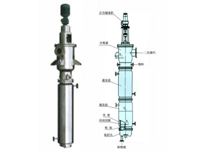 1626424189846118.jpg 400x400_5f59e8ec72f9e.jpg