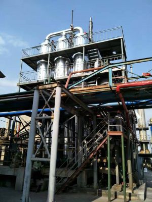 1626835853889348.jpg 400x400_5dbf85d9a921c.jpg