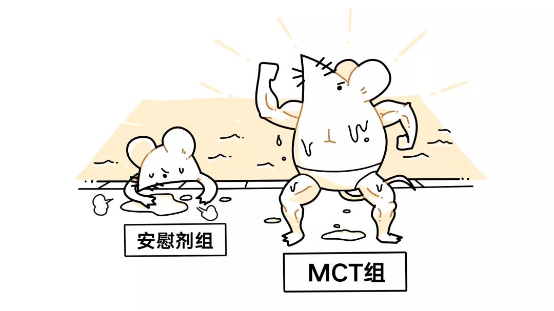 1636937685690605.jpeg a6646ee2-d341-ec11-8da8-e43d1a103141.jpeg