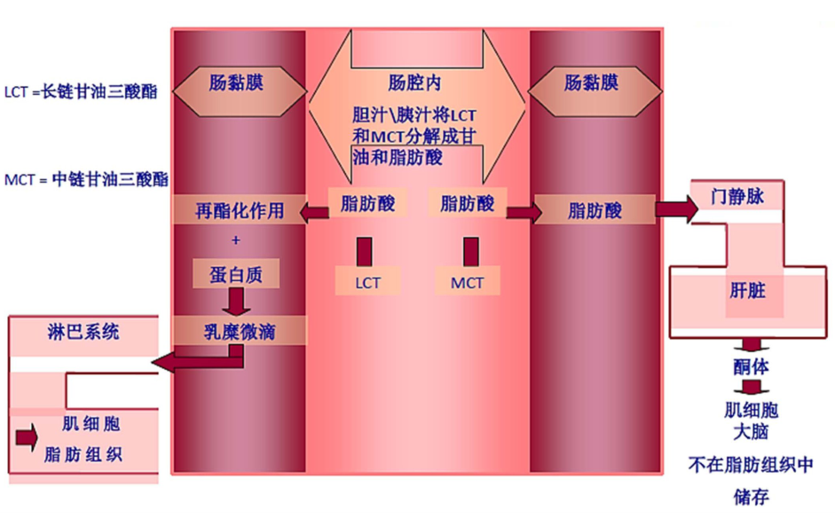 1659339924643988.png 微信截圖_20220801154513.png